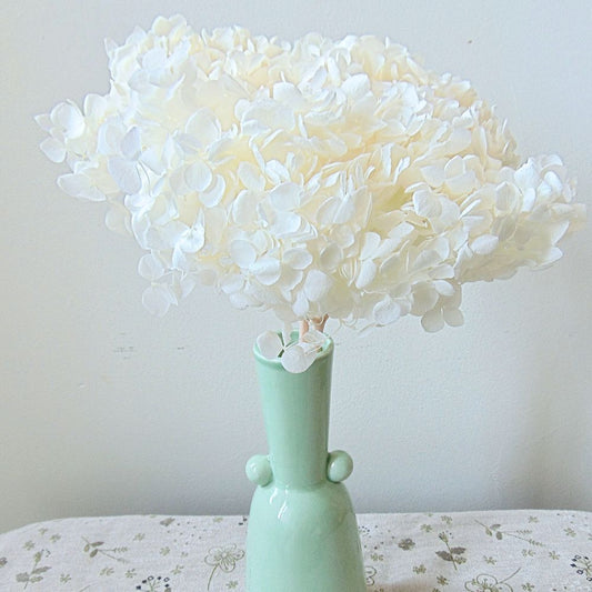 Hortensia Anna Stabilisé Blanc Ivoire - Fleurs éternelle