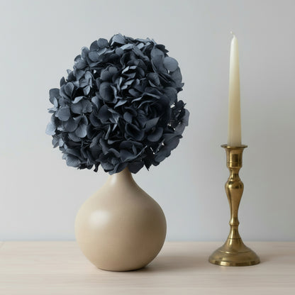Hortensia Stabilisé séché Gris Anthracite