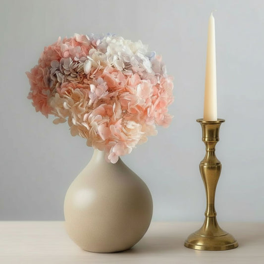 Hortensia Anna Stabilisé Vintage