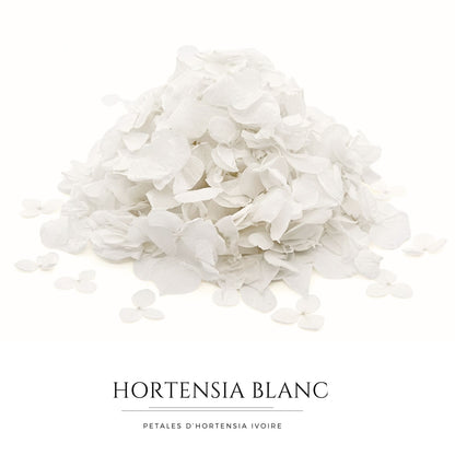 Pétales d'Hortensia séché blanc - Confettis de Mariage