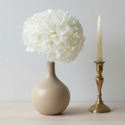 Hortensia Stabilisé blanc - Fleurs éternelle
