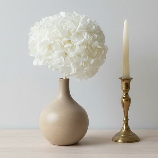 Hortensia Stabilisé blanc - Fleurs éternelle