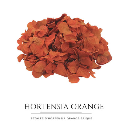 Pétales d'Hortensia Orange Brique - Confettis de Fleurs séchées