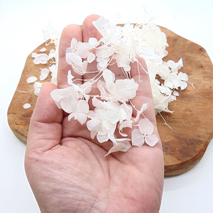 Hortensia - Confettis Mariage blanc