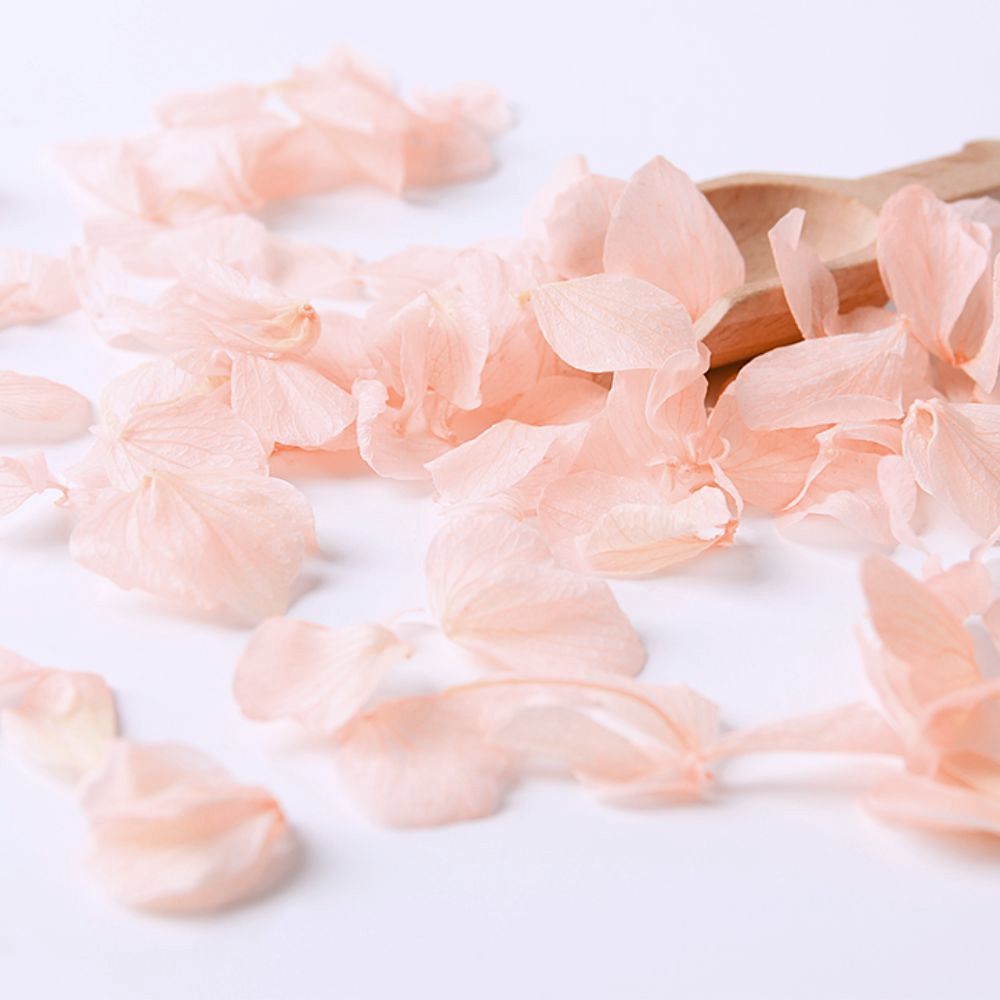 Pétales d'Hortensia séché Rose pâle - Confettis fleurs Mariage