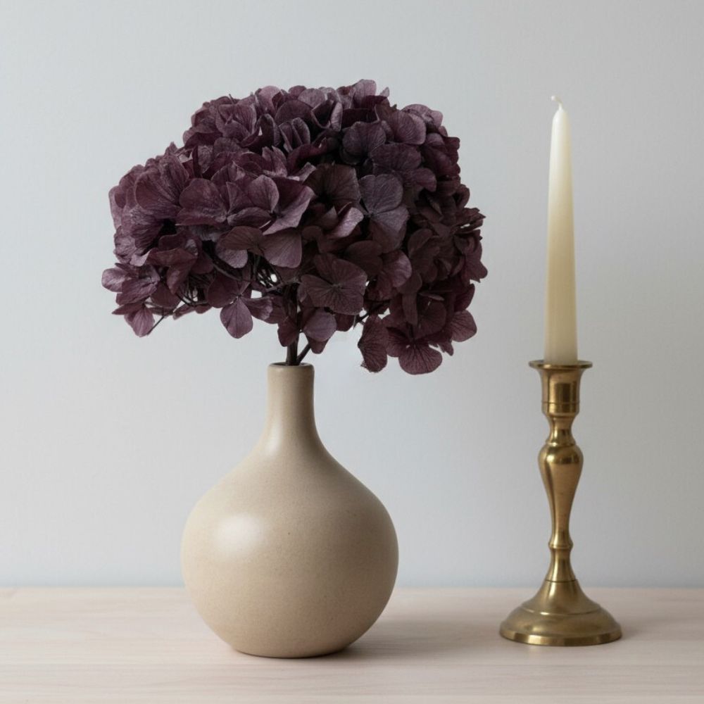 Hortensia Stabilisé Violet Prune - Fleurs éternelle