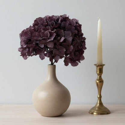 Hortensia Stabilisé Violet Prune - Fleurs éternelle