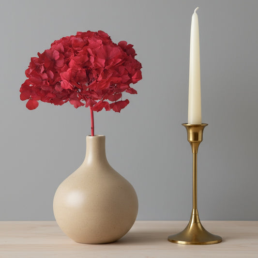 Hortensia Stabilisé Rouge - Fleurs éternelle