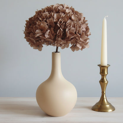 Hortensia Stabilisé Taupe- Fleurs éternelle