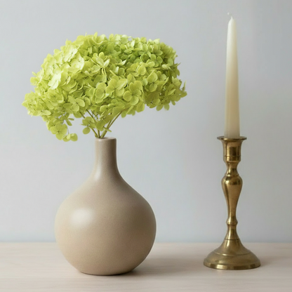 Hortensia Stabilisé Séché Vert citron -Fleur éternelle