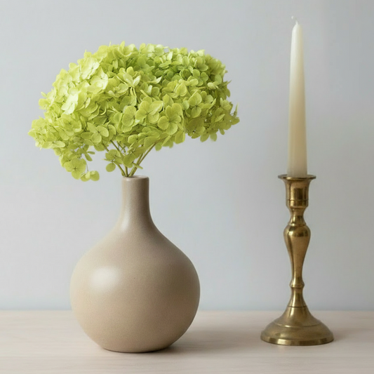 Hortensia Stabilisé Séché Vert citron -Fleur éternelle