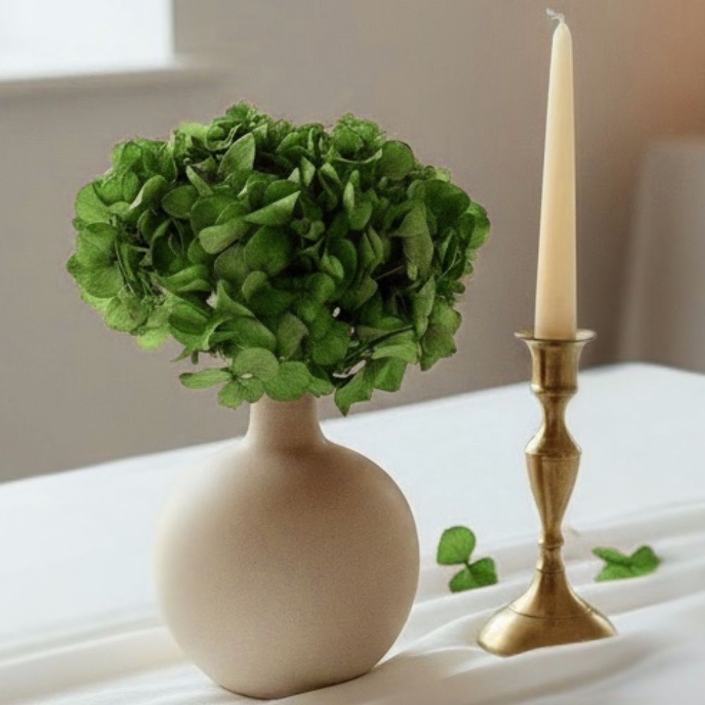 Hortensia Stabilisé Vert- Fleurs éternelle