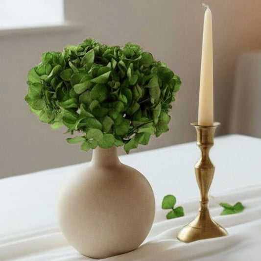 Hortensia Stabilisé Vert- Fleurs éternelle