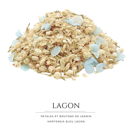 Lagon - Confettis Fleurs Séchées Mariage