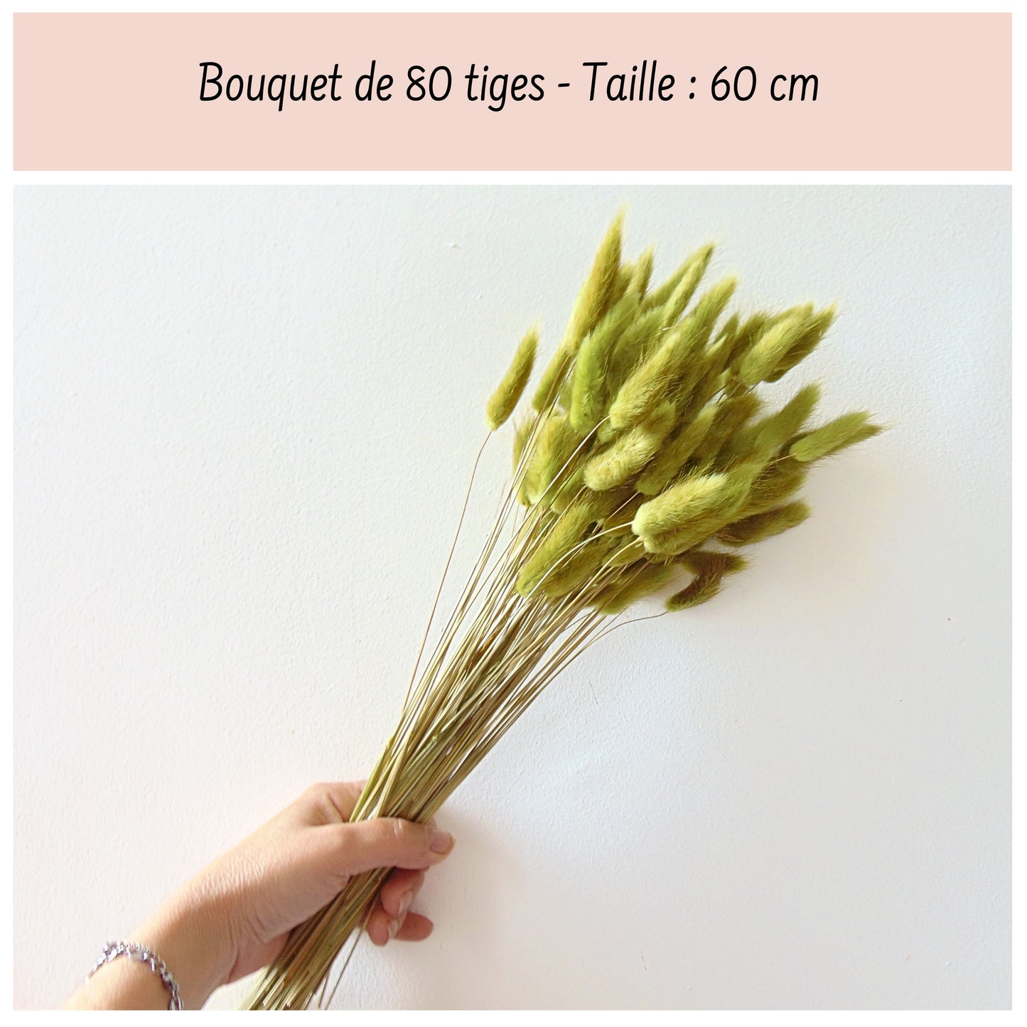 Botte de Lagurus séché Vert Olive