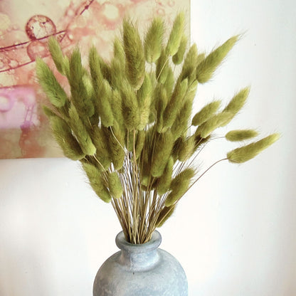 Botte de Lagurus séché Vert Olive