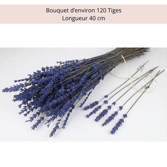 Bouquet de Lavande Stabilisée Bleue – Décoration Mariage Provence