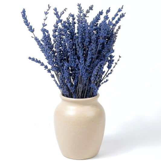 Bouquet de Lavande Stabilisée Bleue – Décoration Mariage Provence