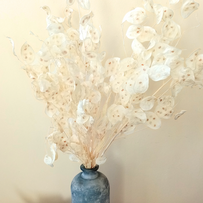 Bouquet de Lunaria séché
