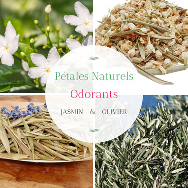 Confettis Naturels PETALES BOHEME - 1 Litre Mélange Blanc Et Vert | Pétales De Jasmin Et Feuilles D'Eucalyptus Pour Mariage Champêtre