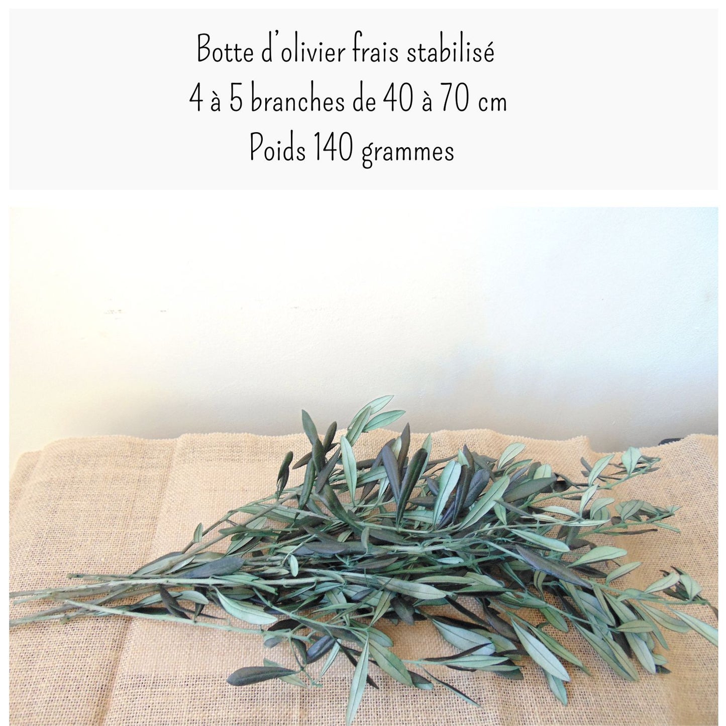 Branche Olivier Stabilisé