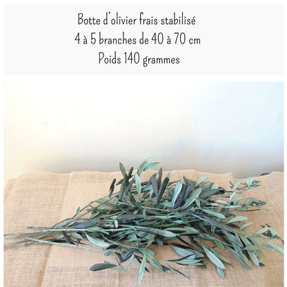 Branche Olivier Stabilisé