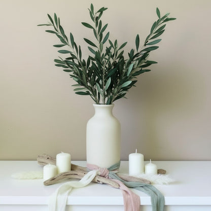 Branche Olivier Stabilisé