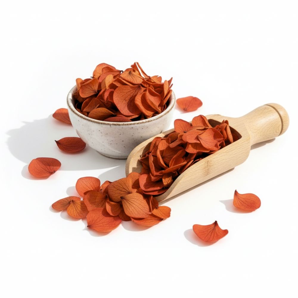Pétales d'Hortensia Orange Brique - Confettis de Fleurs séchées