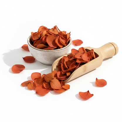 Pétales d'Hortensia Orange Brique - Confettis de Fleurs séchées