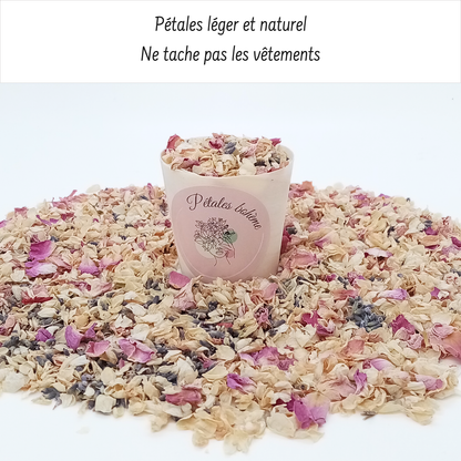 Vintage - Confettis Fleurs Séchées Mariage