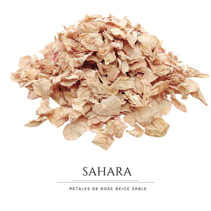 Sahara - Pétales de roses beige sable