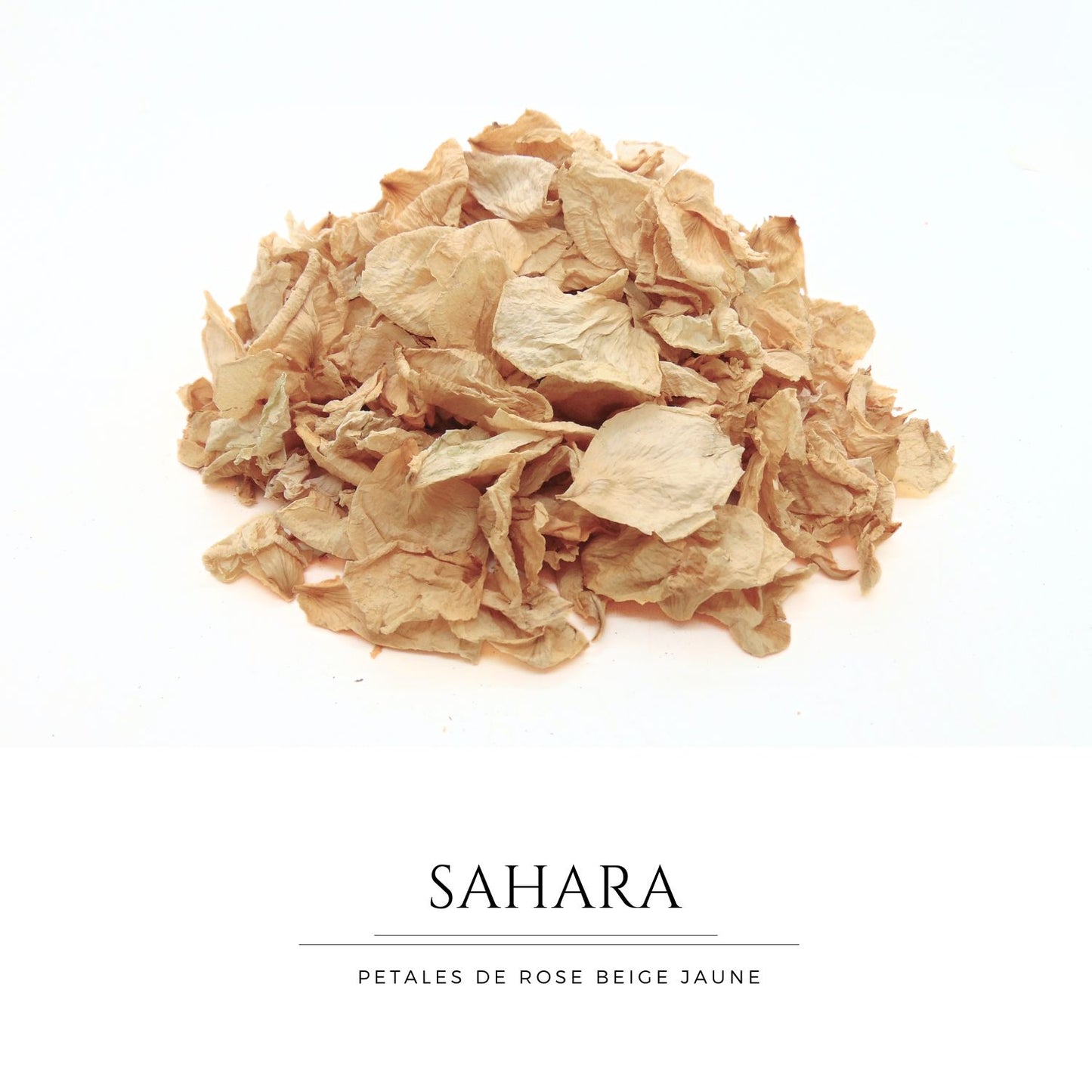 Sahara - Pétales de roses beige sable