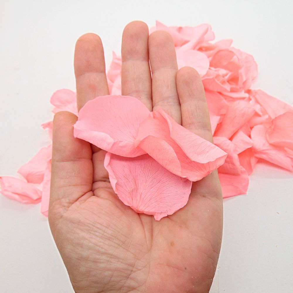 Flamingo - Pétales de rose rose stabilisée