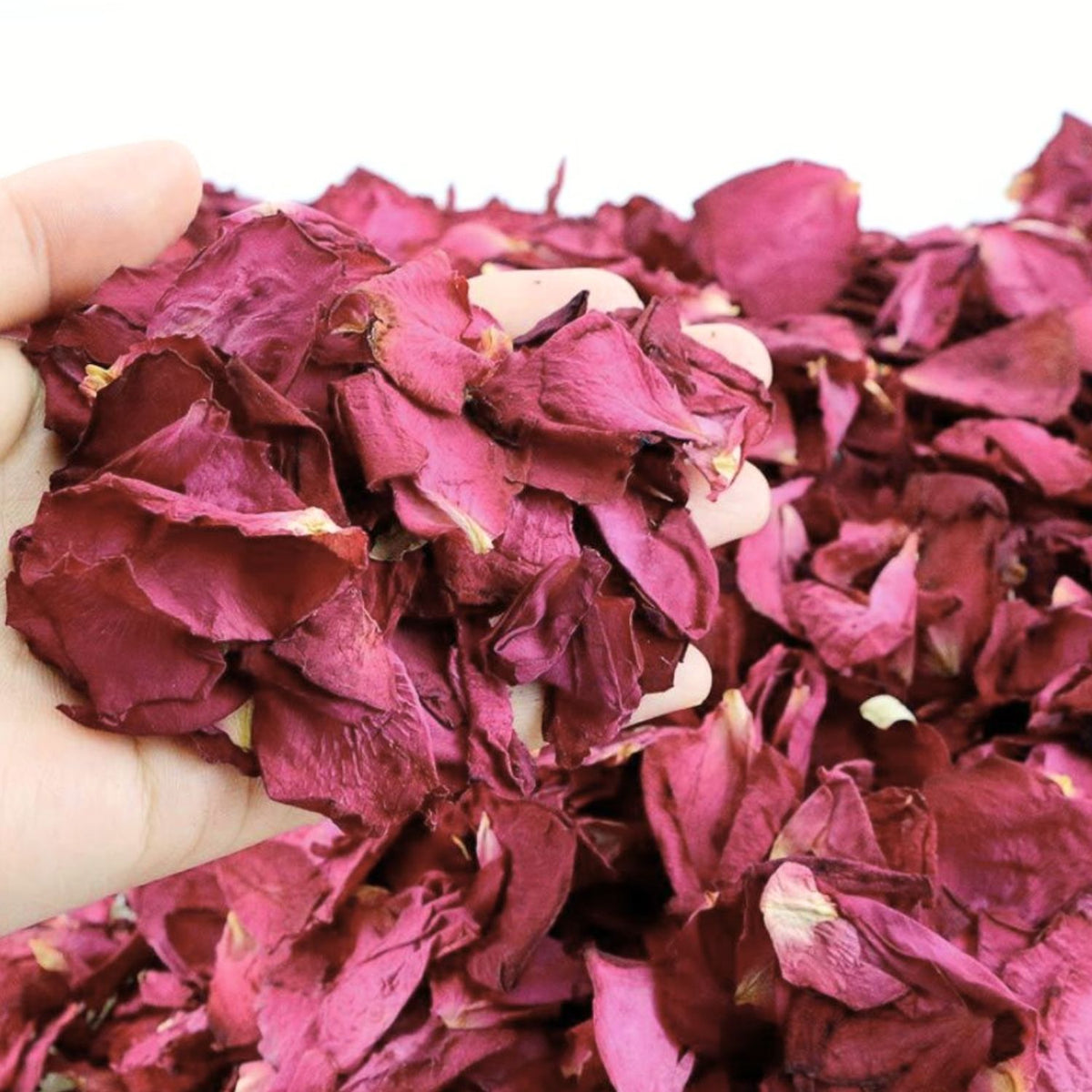 Framboise - Pétales de roses rouge mariage