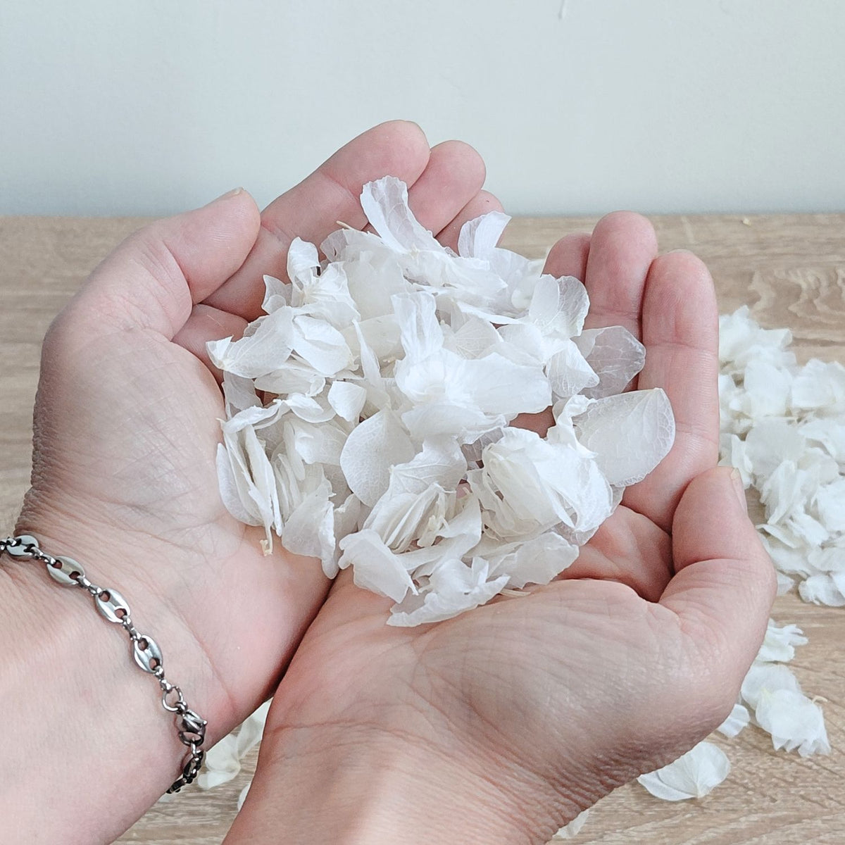 Pétales d'Hortensia séché blanc - Confettis de Mariage