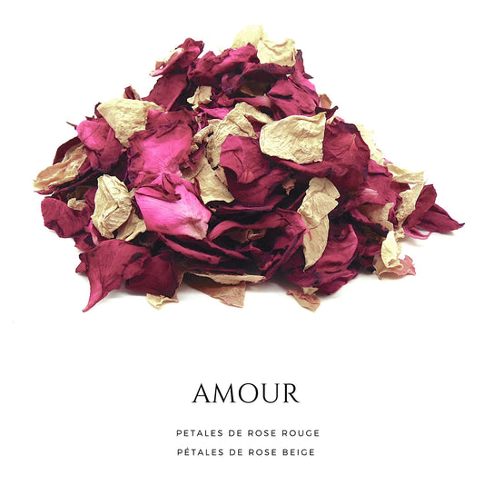 Amour - Pétales de roses rouge et beige