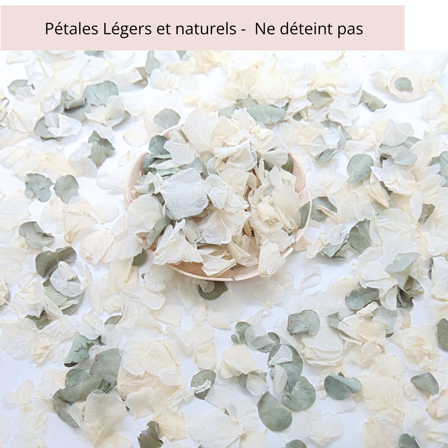Sauge - Confettis de Fleurs Séchées Mariage