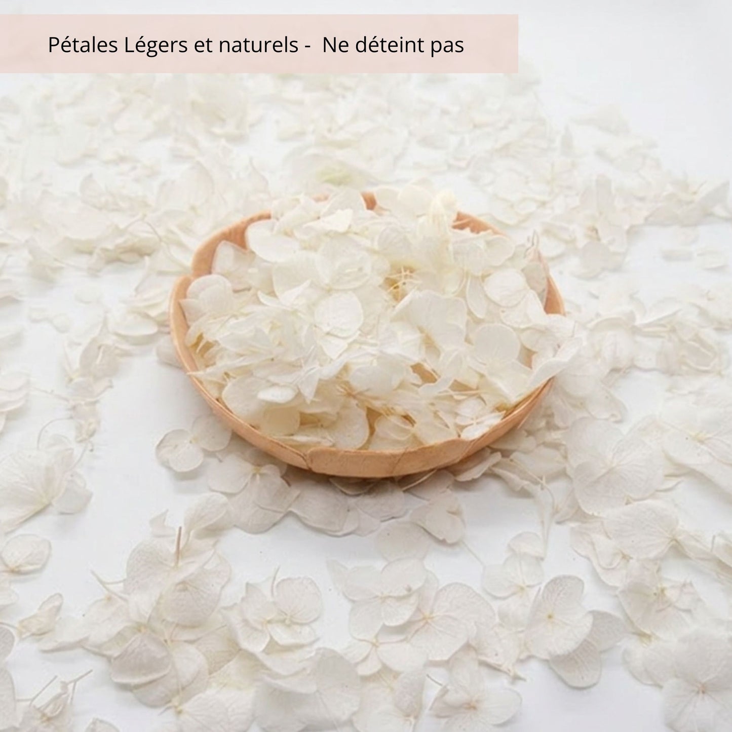 Petit pétales d'hortensia blanc - Confettis de Mariage
