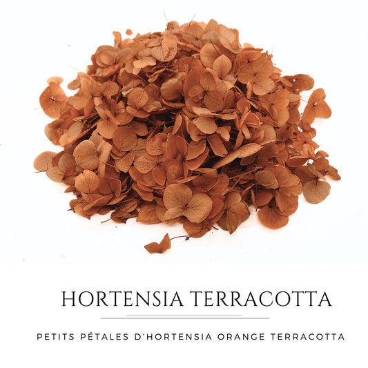 Petits Pétales d'hortensia terracotta - Confettis de Fleurs mariage