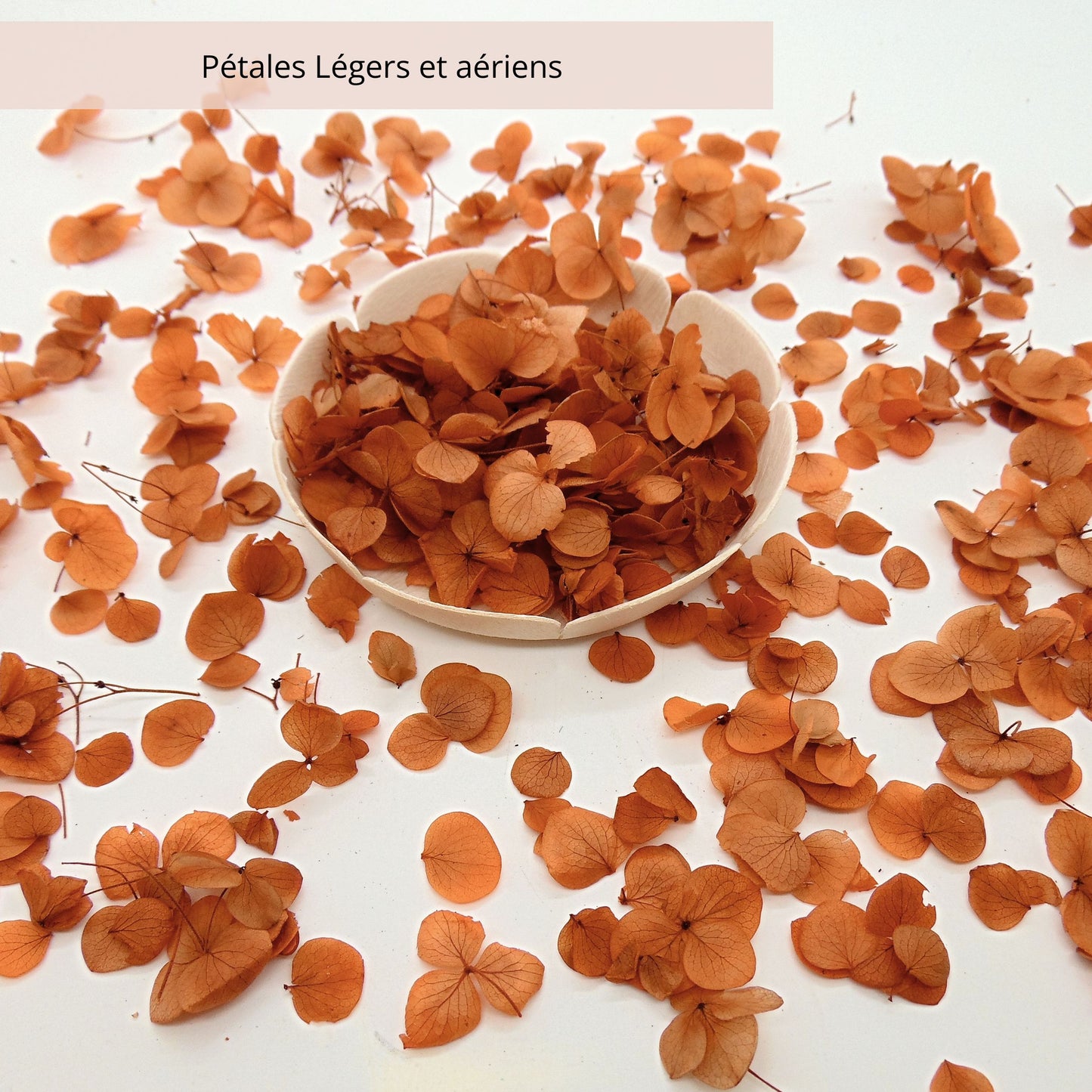 Petits Pétales d'hortensia terracotta - Confettis de Fleurs mariage