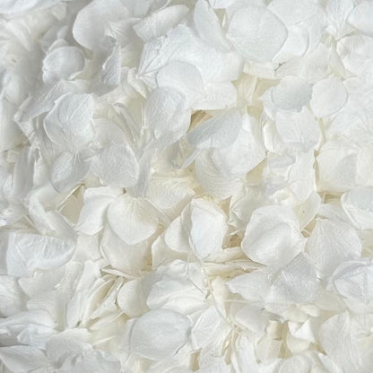 Hortensia - Confettis Mariage blanc