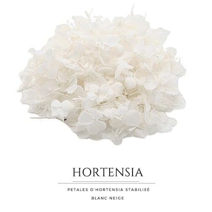 Hortensia - Confettis Mariage blanc