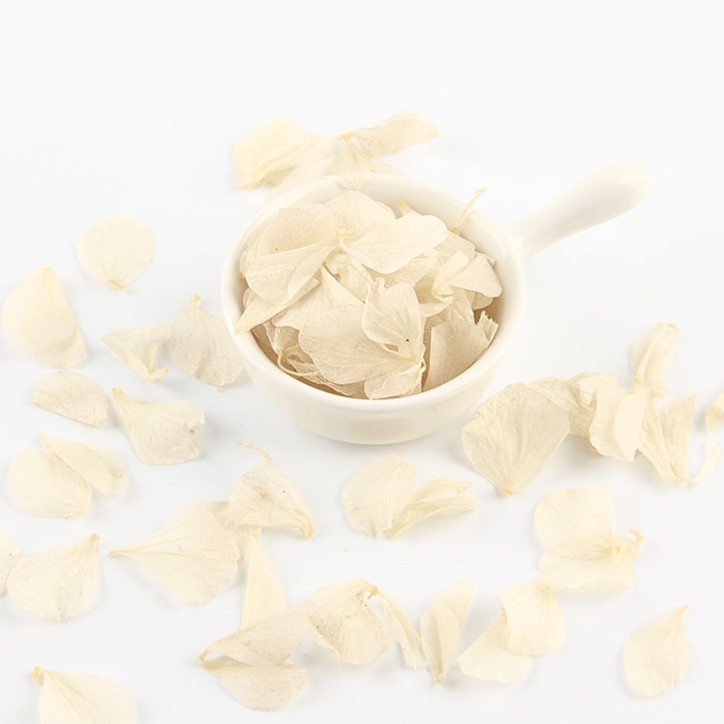 Pétales d'Hortensia séché ivoire - Confettis fleurs Mariage