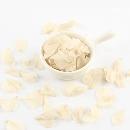 Pétales d'Hortensia séché ivoire - Confettis fleurs Mariage