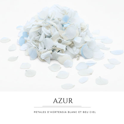Azur - Confettis fleurs séchées Mariage