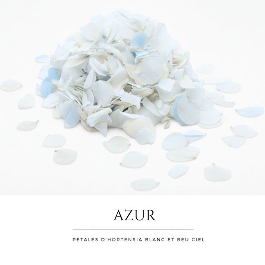 Azur - Confettis fleurs séchées Mariage