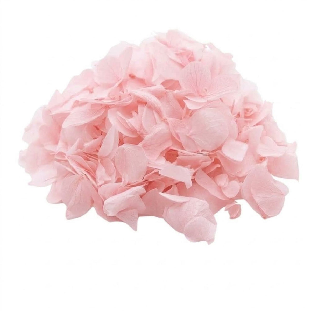 Pétales d'Hortensia séché Rose pâle - Confettis fleurs Mariage