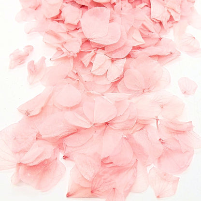 Pétales d'Hortensia séché Rose Antique - Confettis fleurs Mariage