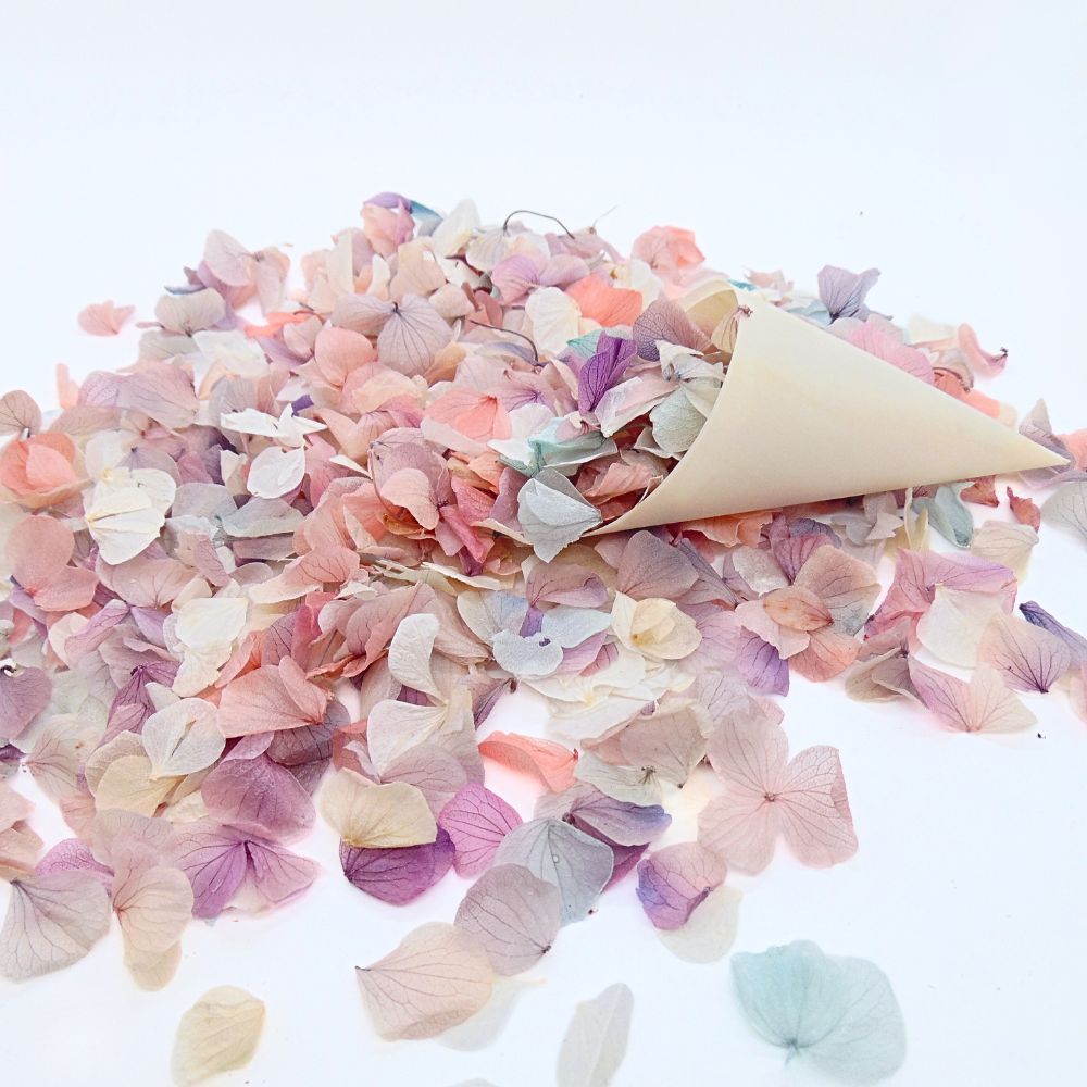 Pétales d'Hortensia séché Arc en ciel - Confettis de Mariage Biodégradables