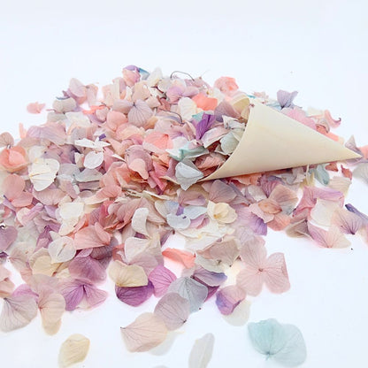 Pétales d'Hortensia séché Arc en ciel - Confettis de Mariage Biodégradables